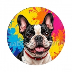 chien