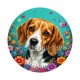 chien