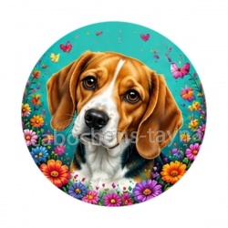 chien