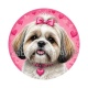 chien
