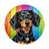 chien
