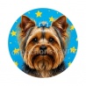 chien