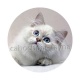 chat