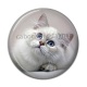 Cabochon Résine - chat