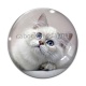 Cabochon Verre - chat