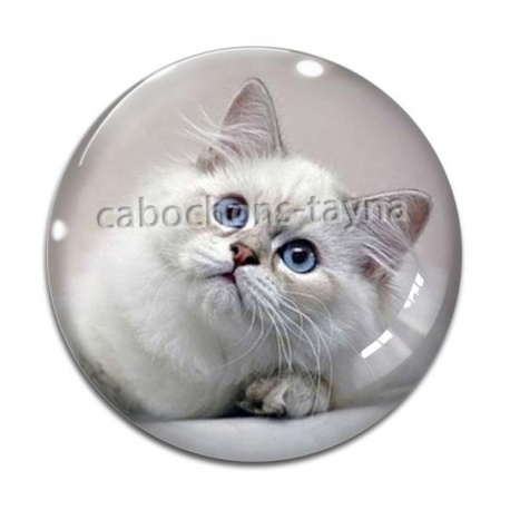 Cabochon Verre - chat