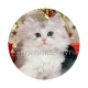 chaton