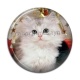 Cabochon Résine - chaton