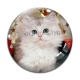 Cabochon Verre - chaton