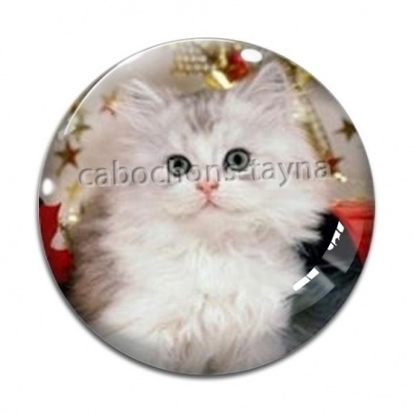 Cabochon Verre - chaton