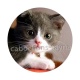 chaton