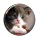 Cabochon Résine - chaton
