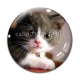 Cabochon Verre - chaton