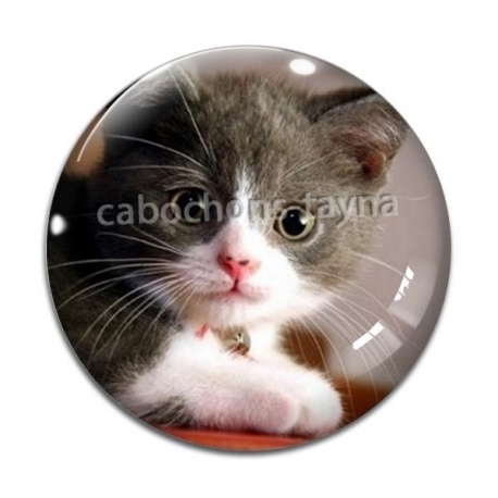 Cabochon Verre - chaton
