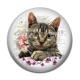 Cabochon Résine - chat