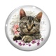 Cabochon Verre - chat