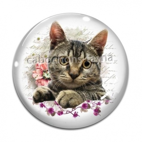 Cabochon Verre - chat