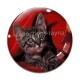 Cabochon Verre - chaton