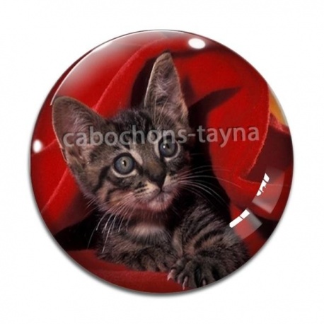 Cabochon Verre - chaton