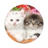 chaton