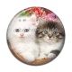 Cabochon Résine - chaton
