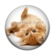 Cabochon Résine - chaton