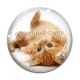 Cabochon Verre - chaton