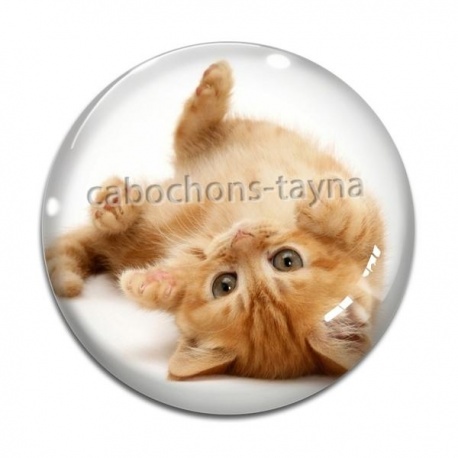 Cabochon Verre - chaton