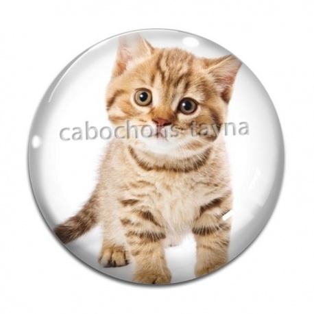 Cabochon Verre - chaton