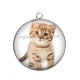 Pendentif Cabochon Argent - chaton