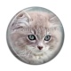Cabochon Résine - chaton