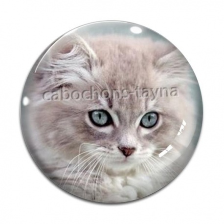 Cabochon Verre - chaton