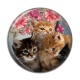 Cabochon Résine - chaton
