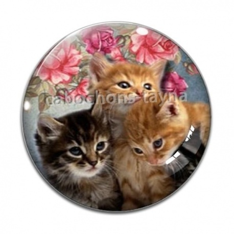 Cabochon Verre - chaton