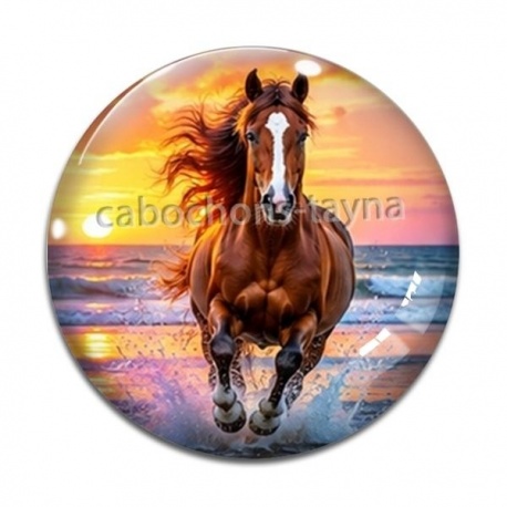 Cabochon Verre - cheval