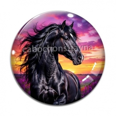 Cabochon Verre - cheval