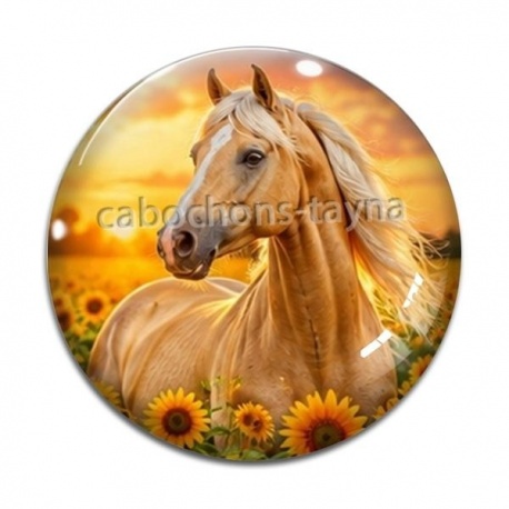 Cabochon Verre - cheval