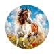 cheval