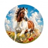 cheval