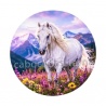 cheval