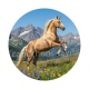 cheval