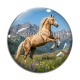 Cabochon Verre - cheval