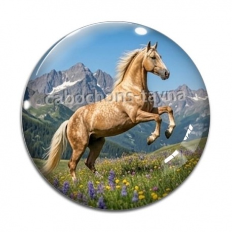 Cabochon Verre - cheval