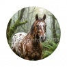 cheval