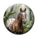 Cabochon Verre - cheval
