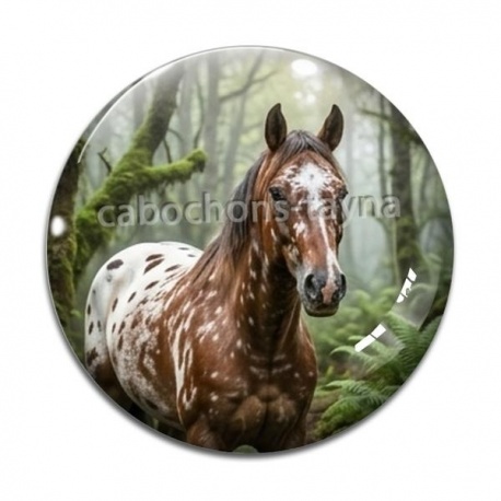 Cabochon Verre - cheval