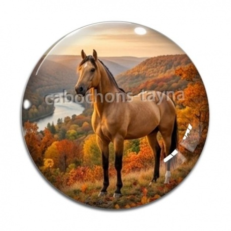 Cabochon Verre - cheval