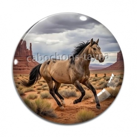 Cabochon Verre - cheval