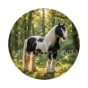 cheval