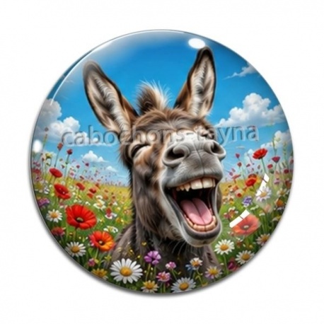 Cabochon Verre - ane